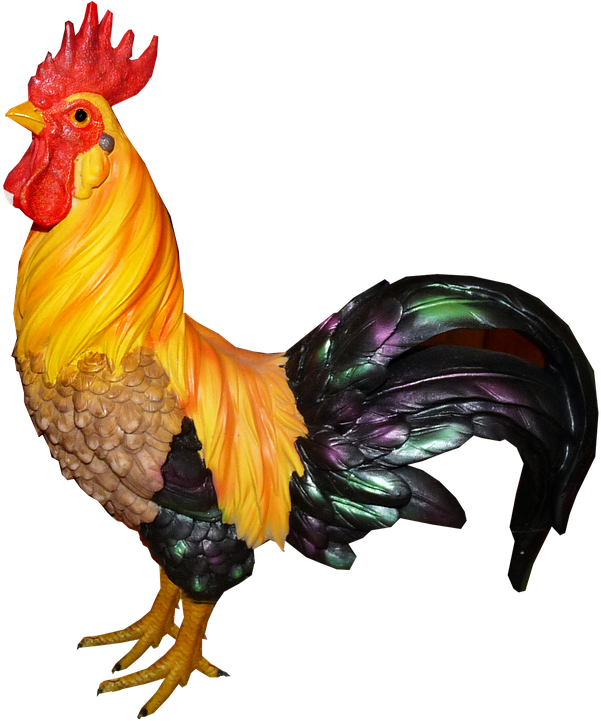 Kogut Png (663x720), Png Download