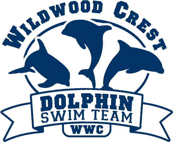 Dolphin Swim Team Logo (600x513), Png Download