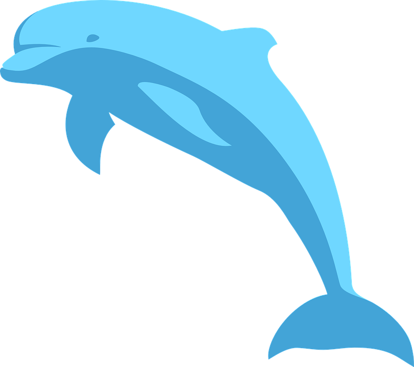 Blue Dolphin - Blue Dolphin Clipart (600x533), Png Download