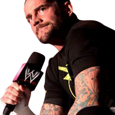 Fan Of Cm Punk - Wwe Home Video (400x400), Png Download