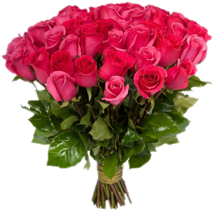 Real Flowers Nature Beautiful Roses Red Awesome Love - Розовых Роз (885x869), Png Download