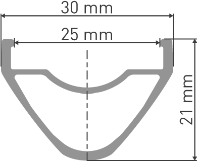 Foco Nfl Carolina Panthers Cam Newton - Dt Swiss Ex 471 Ex 471 27.5" 32h Black 584x25 Etrto, (1310x1920), Png Download