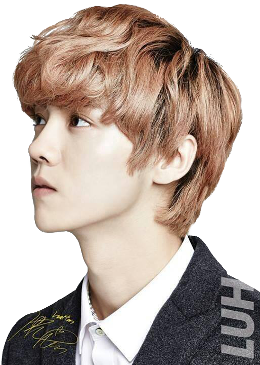 Description - Exo Ivy Club 2013 (514x720), Png Download