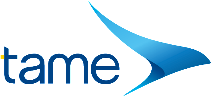 Tame Logo Logotype - Tame Ecuador (1024x768), Png Download