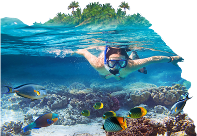 Underwater Activities - Sea In The Maldives (389x320), Png Download