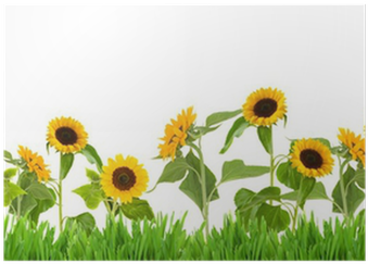 Sun Flower Garden Clip Art (400x400), Png Download
