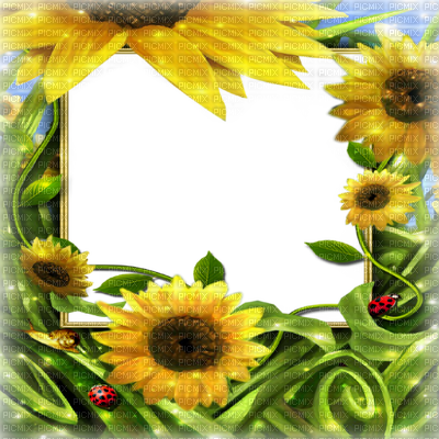 Transparent Frame Png Summer (400x400), Png Download