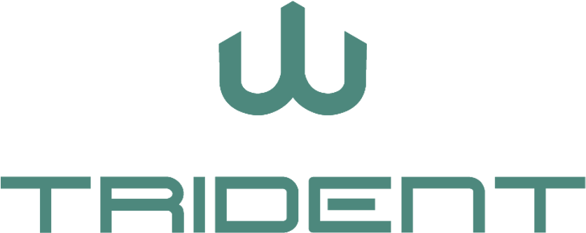 Worldwide Underwater Maritime Solutions Pressrelease - Trident Diving (836x500), Png Download