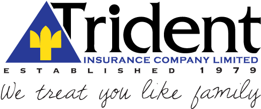 Trident Insurance Company Limited - University Of Arizona Police Department Logo (552x232), Png Download