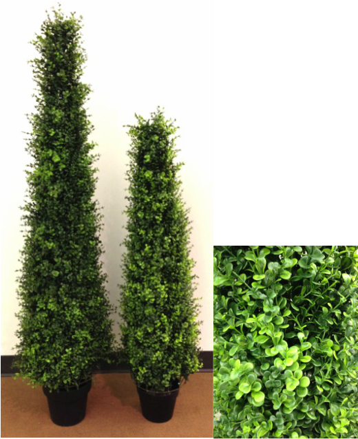 Eucalyptus Cone Topiary - Flowerpot (520x638), Png Download