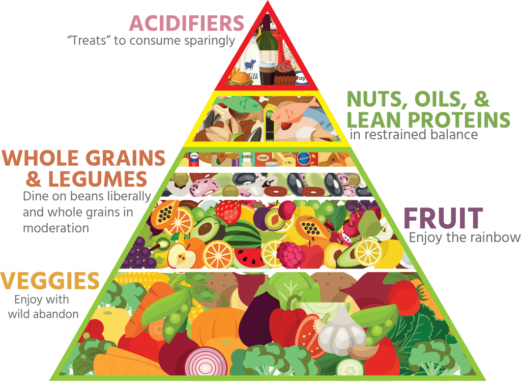 Bailey's Food Pyramid - 2016 Healthy Food Pyramid (1024x767), Png Download