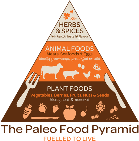 Paleo Diet - Paleo Food Pyramid (470x467), Png Download