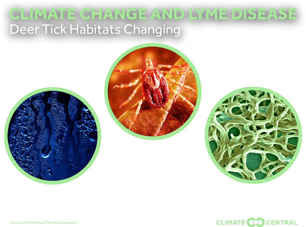 Jpg • Png - Circle (1920x1080), Png Download