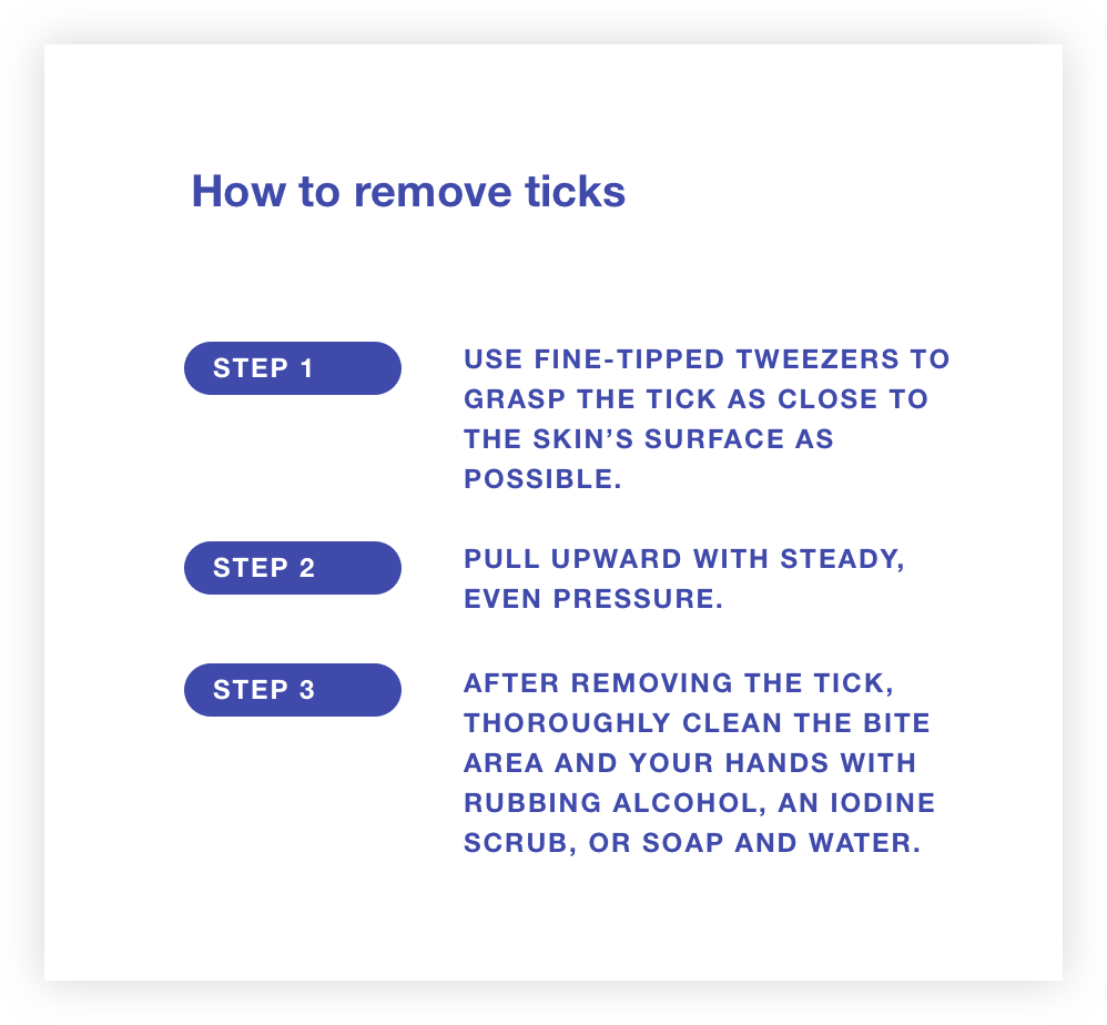 Tick Test How To Remove Tick 1 - Tick (998x924), Png Download