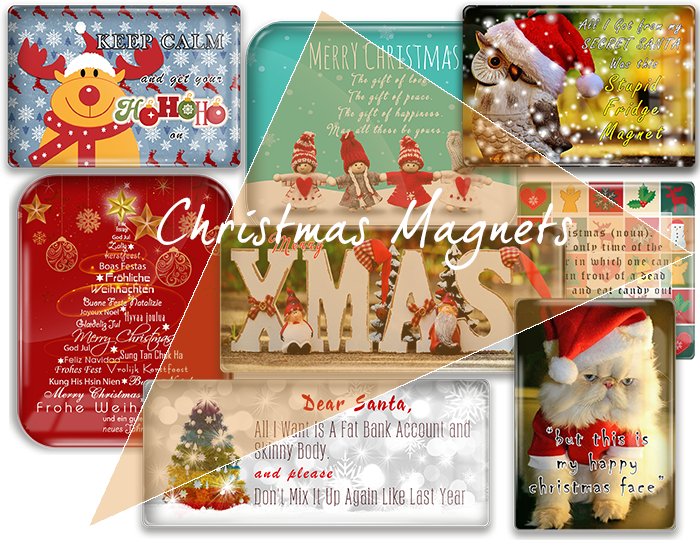 Christmas Magnets - Assorted Christmas And Winter Themed Refrigerator Magnets (700x540), Png Download