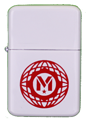 White Globe Logo Lighter - Logo (800x800), Png Download