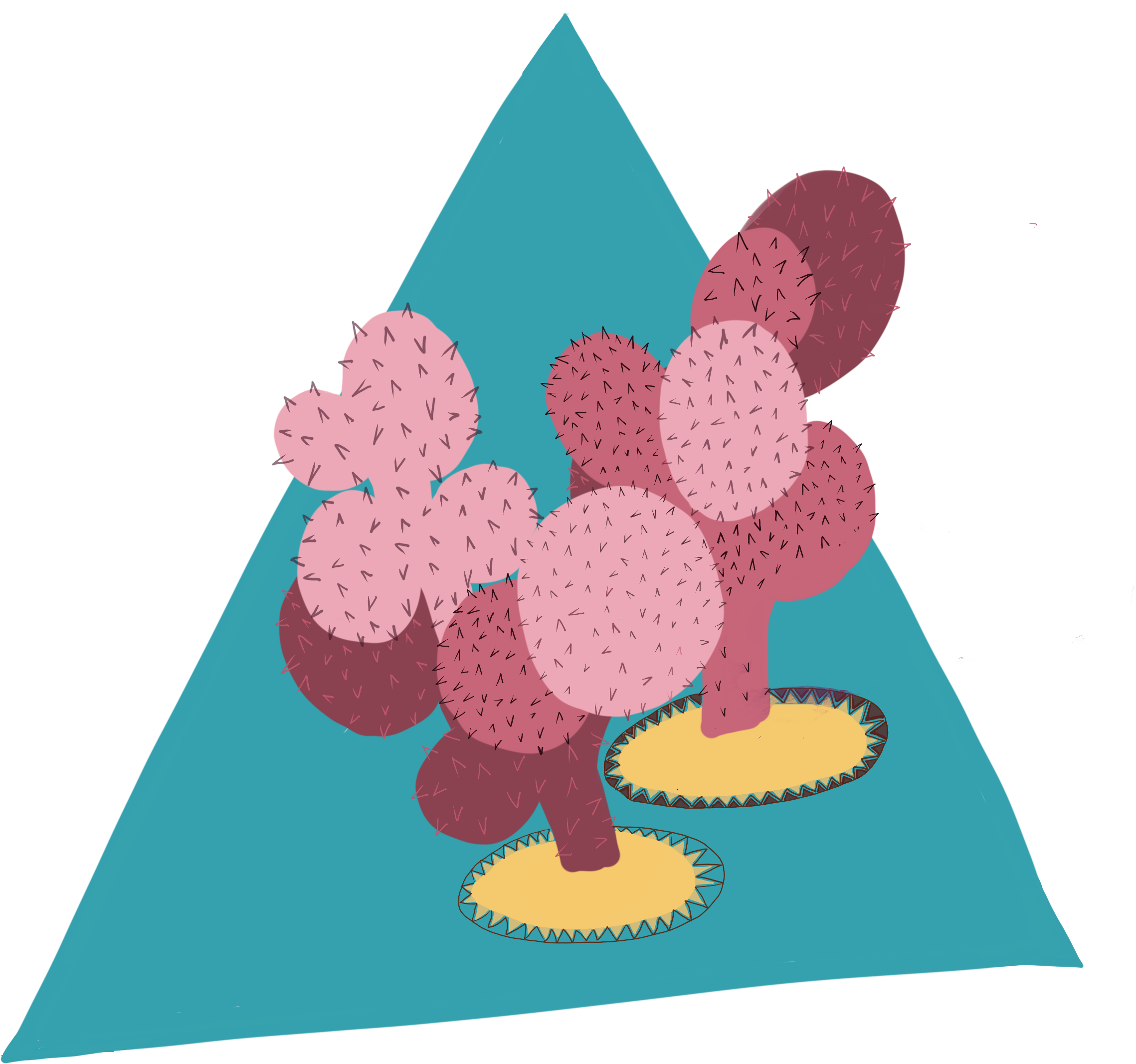 Cactus (2480x3508), Png Download