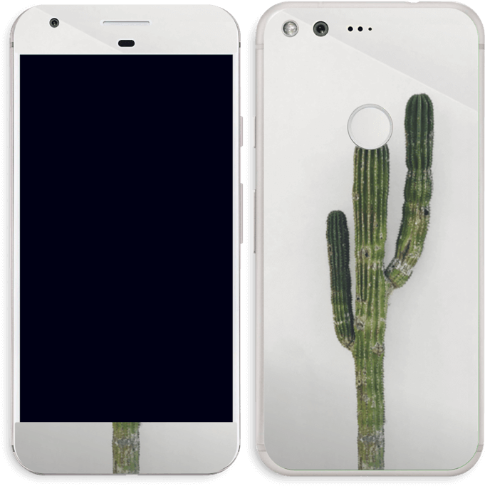 Mexican Cactus - Apple Macbook Pro (15", 2017) (790x800), Png Download