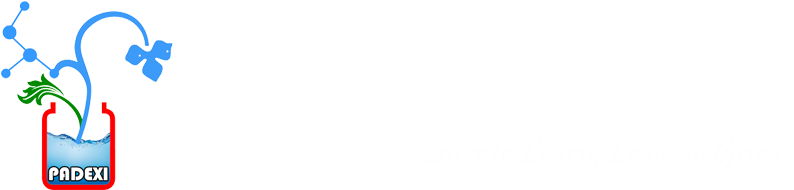 Padexi Academy - Alexa: 933 Funniest Things To Ask Alexa: (echo Dot, (844x204), Png Download