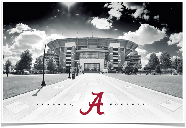 Alabama Crimson Tide Bryant-denny‰ã¢ Black & White - Bryant-denny Stadium (800x800), Png Download