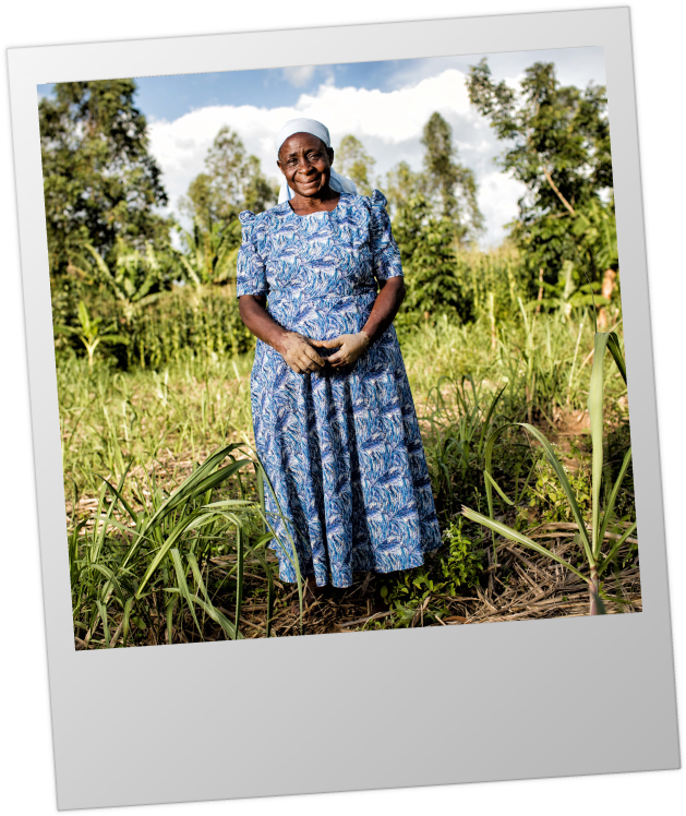 Individual-poloroid - Grass (666x768), Png Download