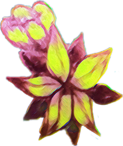 Still Life (480x571), Png Download