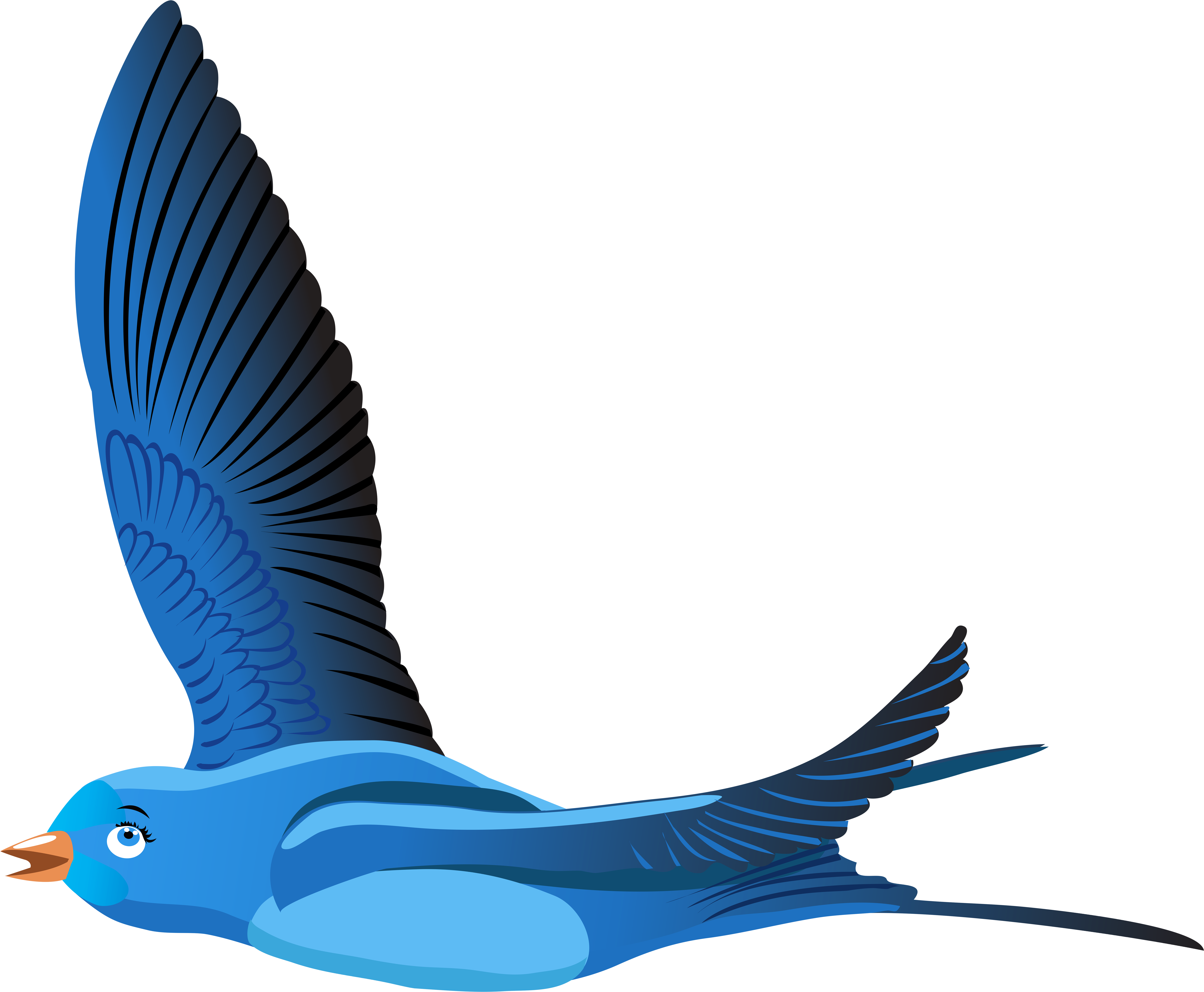 Cartoon Bird Png (8000x6747), Png Download