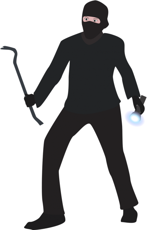 Burglar Transparent (500x749), Png Download