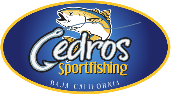 Cedros Sportfishing (613x354), Png Download