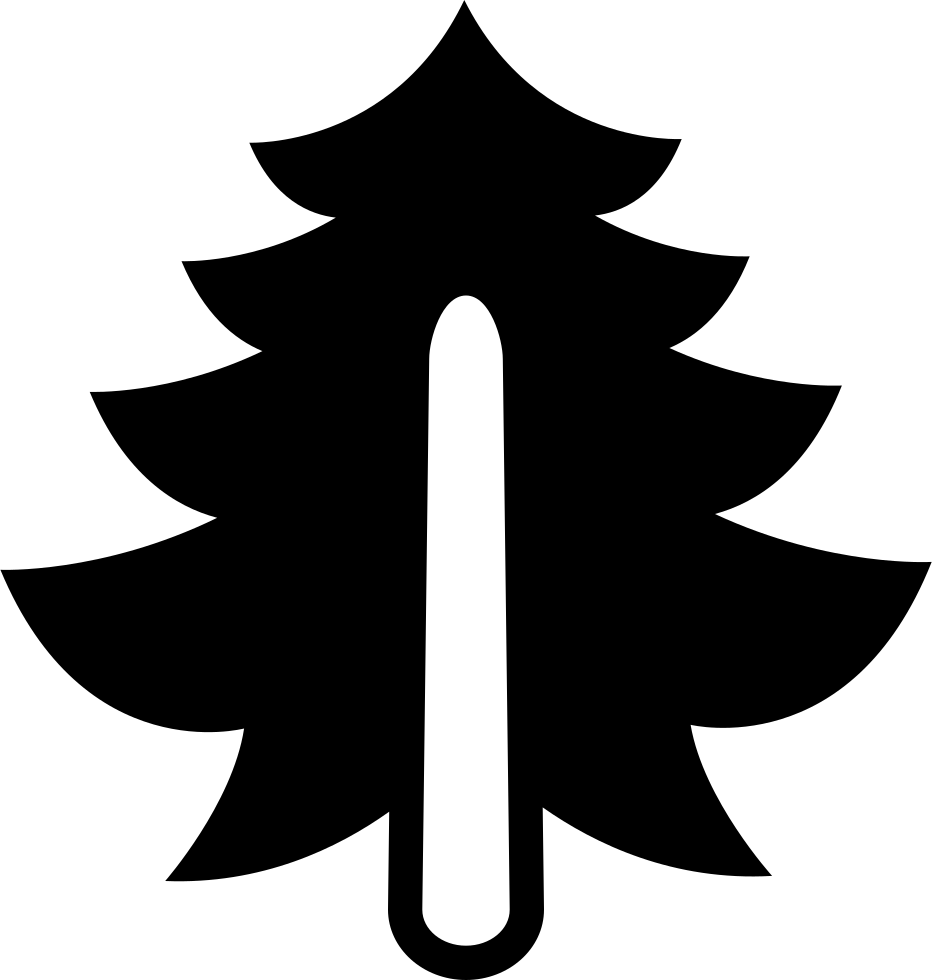 Pine Big Tree - Icon (932x980), Png Download
