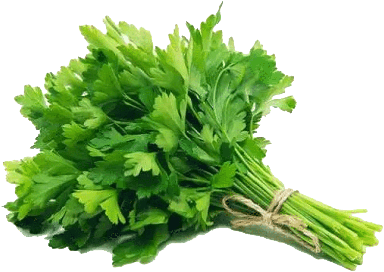 Parsley - Demet Maydanoz (1000x1000), Png Download