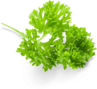 Parsley (550x550), Png Download