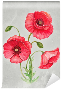 Watercolor Illustration Of Poppy Flower Wall Mural - Flor De Amapola Dibujo (400x400), Png Download