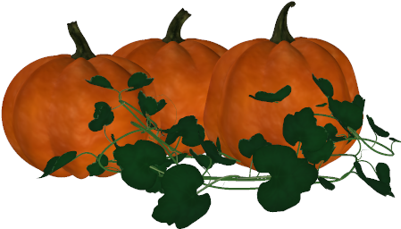 Clip Black And White Pumpkin Vine At Getdrawings Com - Real Pumpkin Vine Png (455x274), Png Download