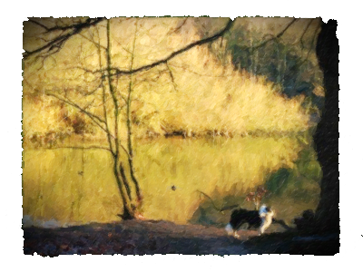 Bruce By The River - Dog Walking (400x300), Png Download