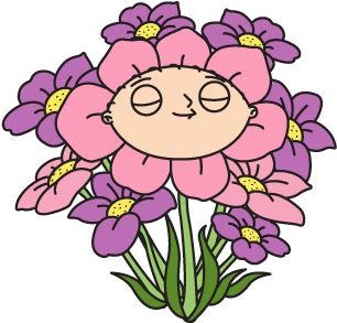 Decoration Stewieflowers Thumbnail@4x - Family Guy Stewie Flower (460x440), Png Download