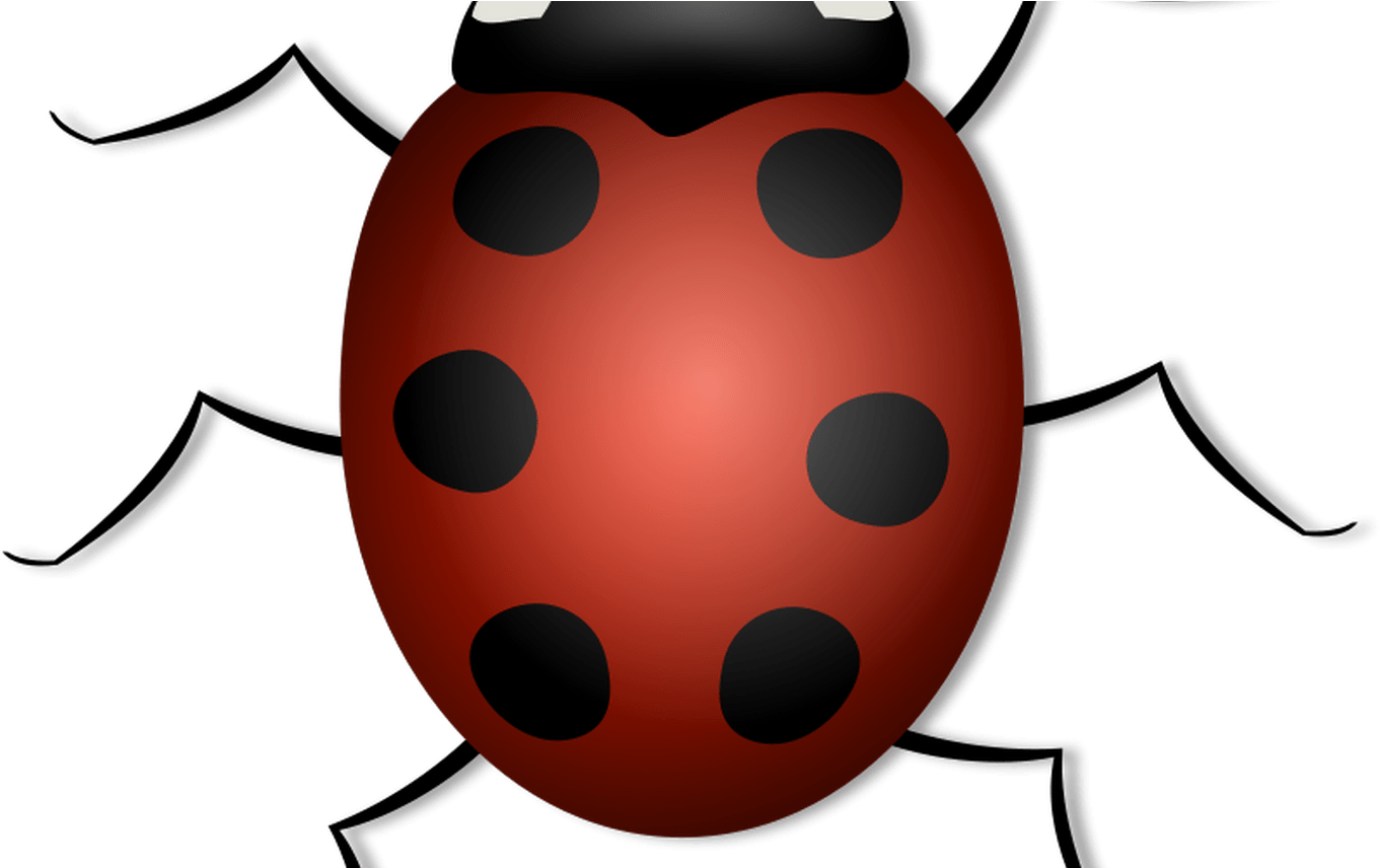 Free Lady Bug Clipart, Download Free Clip Art, Free - Clipart Fond Transparent Insecte Png (1368x855), Png Download
