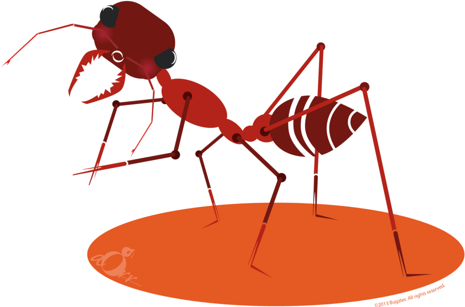 Bulldog Ant-04 - Charlie Harper Artist Insects (1000x689), Png Download
