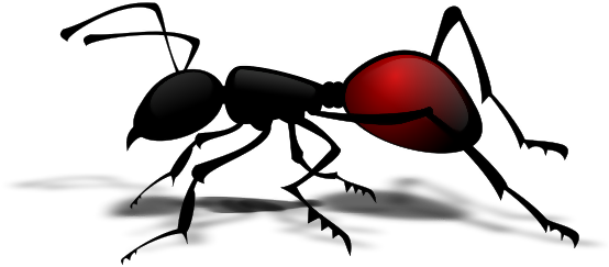 Ant - Ants Png Clipart (800x562), Png Download
