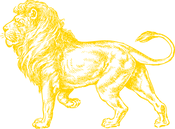 Gold Lion Hi - Lion Gold (600x442), Png Download