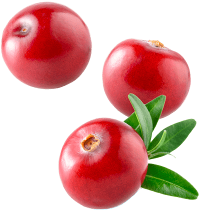 Download Cranberry - Cranberry Png - HD Transparent PNG - NicePNG.com