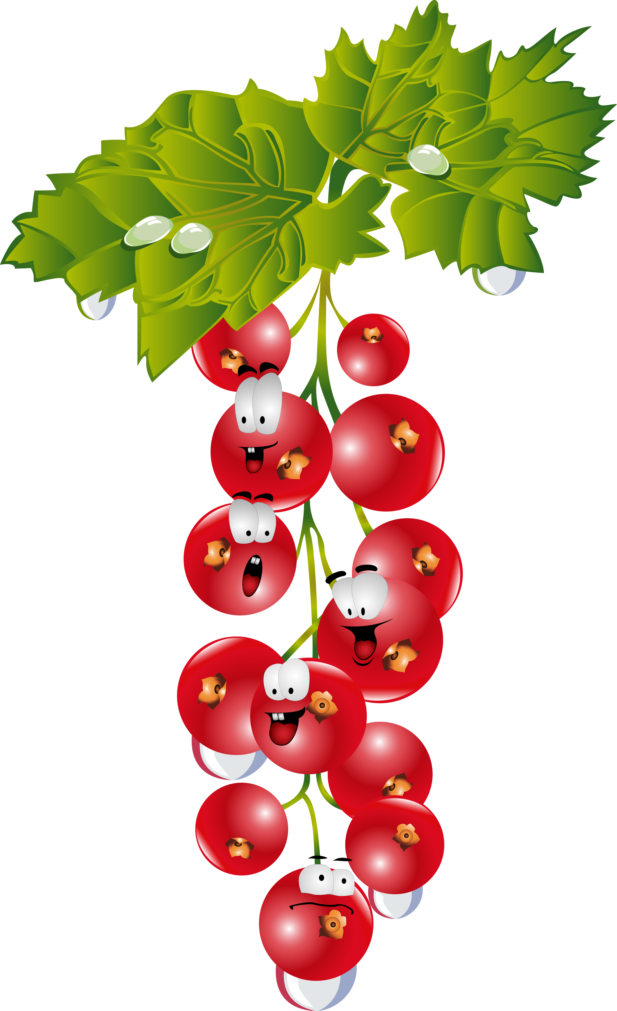 Png Black And White Library Berry Drawing Cranberry - Gifs Scraps Hortaliças Desenhos (2144x3515), Png Download