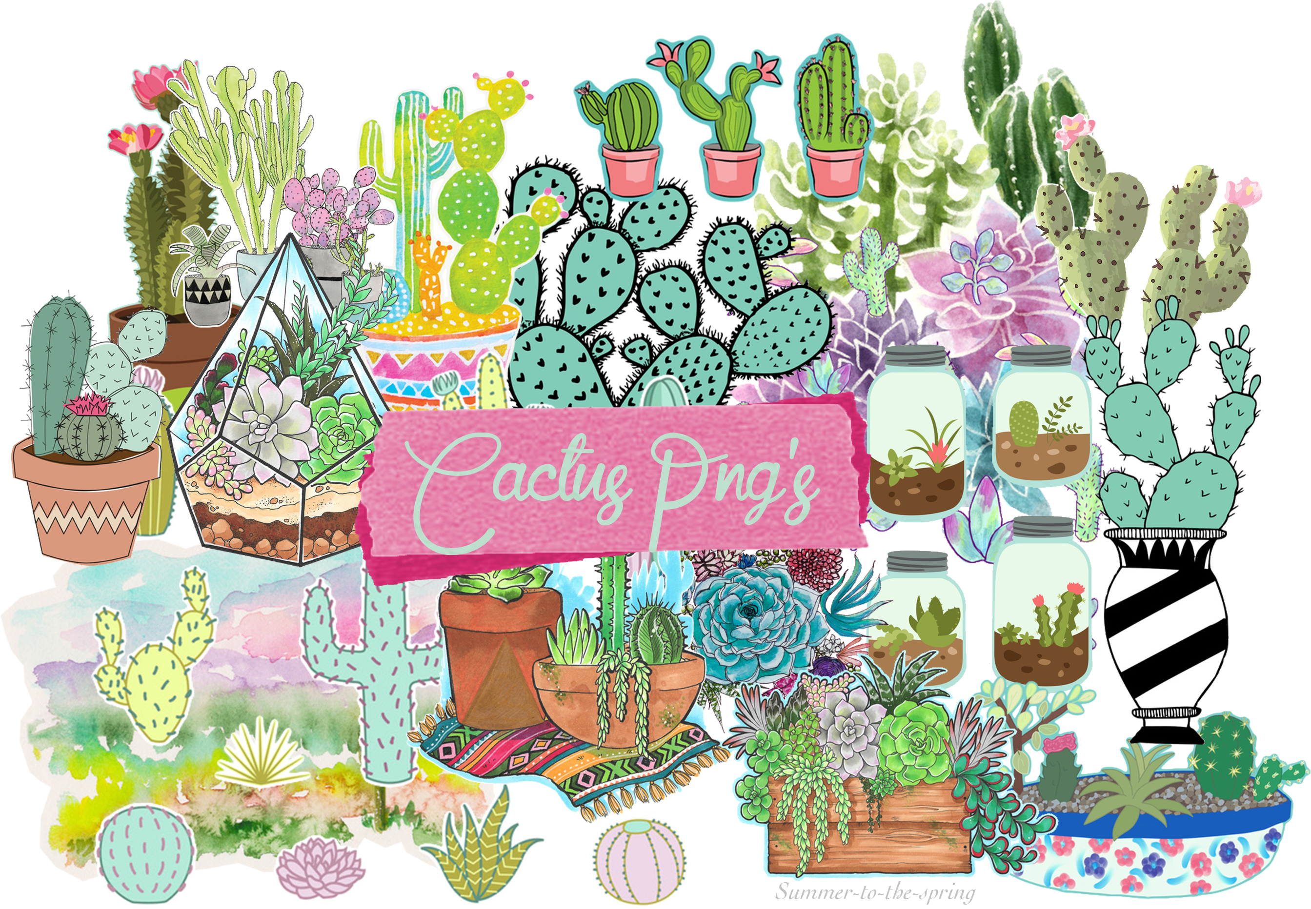 Discover - Cactus Summer (2718x1914), Png Download