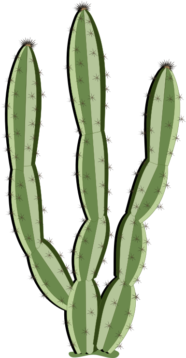 Cactus Clipart Saguaro - Cactus Curtains (385x738), Png Download