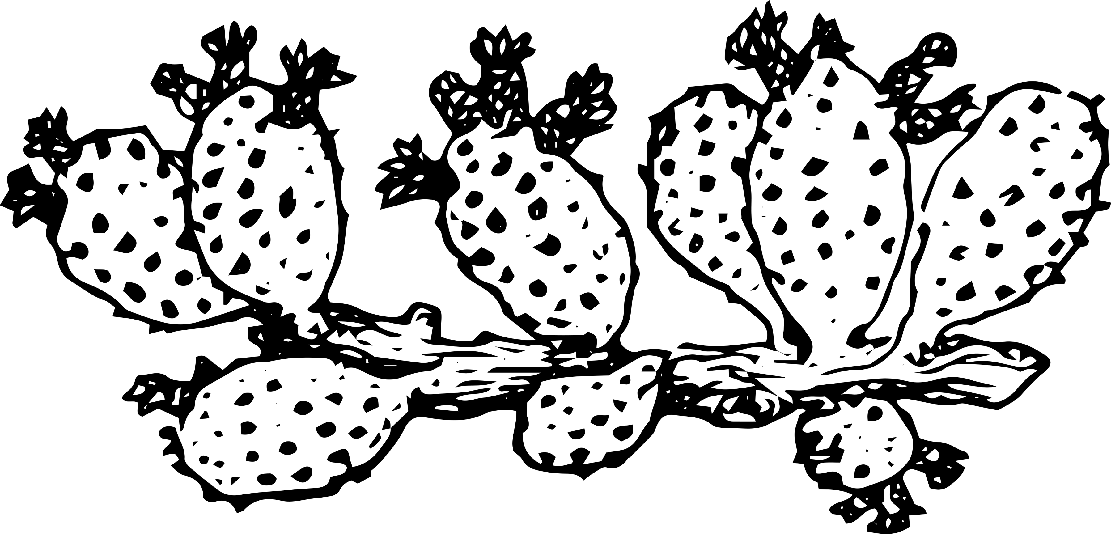 Hg-cactus - Cactus (3595x1728), Png Download