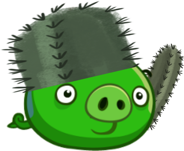 Cactus Clipart Angry - Angry Birds Cowboy Pig (640x640), Png Download