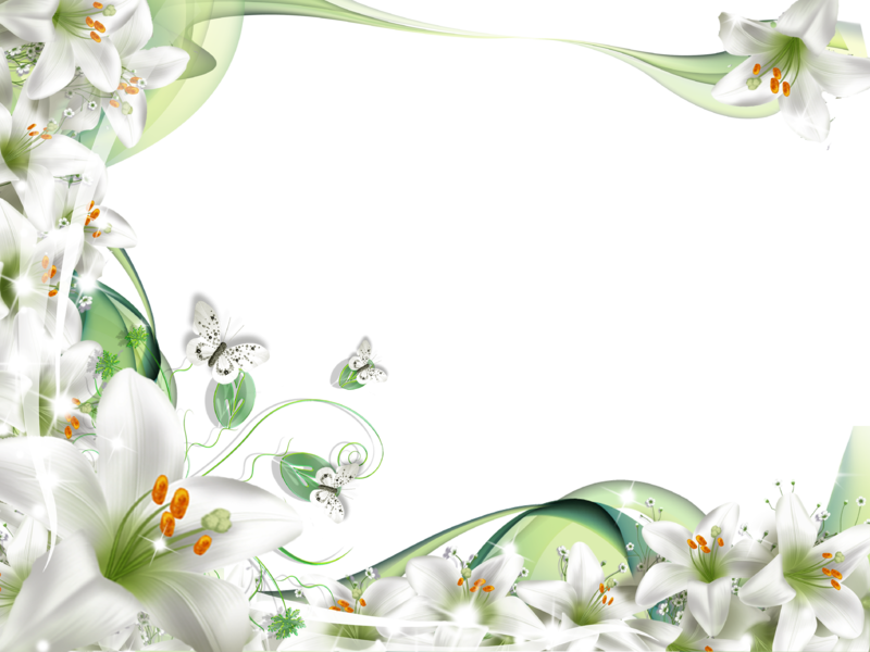 Flores Blancas Png - Frame Psd (800x600), Png Download