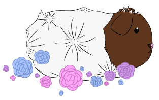 Image Image - Illustration (500x350), Png Download