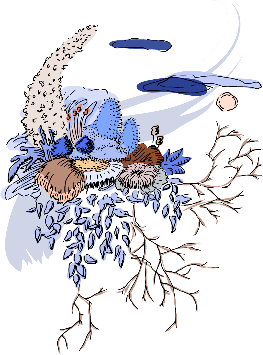 Moon Flower - Tropical White Morning-glory (946x1260), Png Download