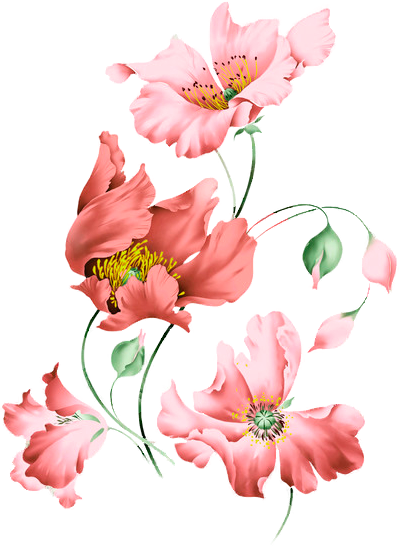 Flower Prints - Цветочный Принт Пнг (400x546), Png Download